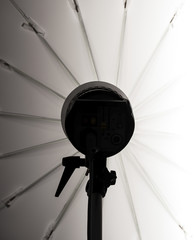 Studio flash silhuette with umbrella