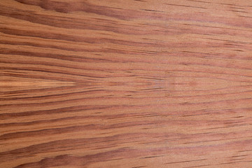 top view of Softwood brown conifers texture with nature background