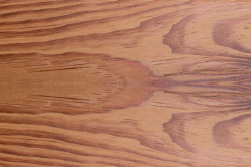 top view of Softwood brown conifers texture with nature background