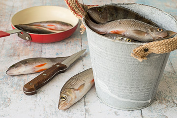 
River fish.   Small river fish, perch and roach, in a metal bucket and on a frying pan on a light...
