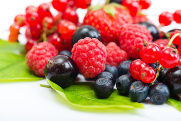 Blueberry, strawberry, raspberry, black and red currant