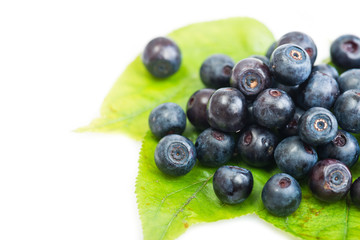 Fresh blueberry on green leaves