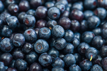 Blueberries as background
