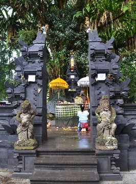 Bali 21