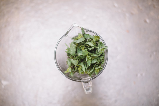Fresh mint in a cocktail blender for mojitos