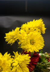 bouquet of colorful autumn flowers