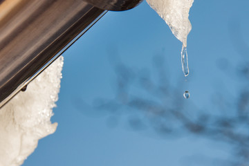 Naklejka na ściany i meble icicles dripping from the roof