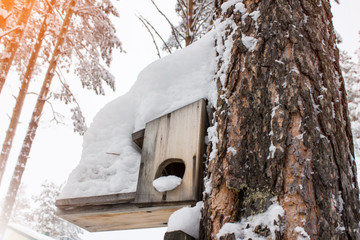 Nesting box in a forest in winter, covered with snow