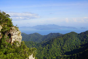 Fototapeta na wymiar Tropical forest on Langkawi Island, Malaysia, Asia