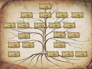 family tree illustration