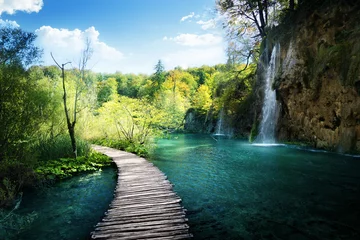 Fototapeten Wasserfall im Wald, Plitvice, Kroatien © Iakov Kalinin