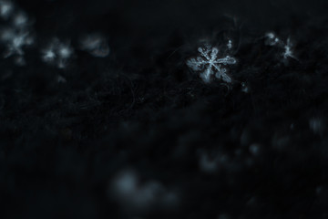 Macro snowflake on black