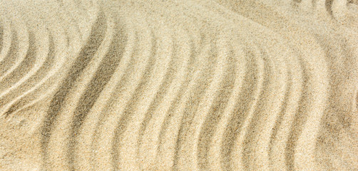Fototapeta na wymiar Sandy beach for background. Sand texture. Copy space.