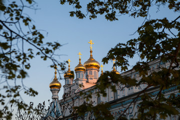 The golden domes of the Orthodox church in frame of green branches. Sunset, spring evening.