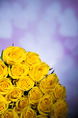 Natural background of fresh roses