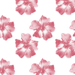 Delicate pink flowers on white background
