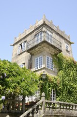 Ivy on wall of building in Cambados, Spain