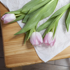 Anniversary pink tulip bouquet wrapped in white paper. Top view at bunch of fresh tulips, image...