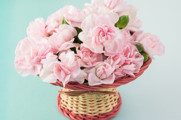 Pink carnations for Mother day.