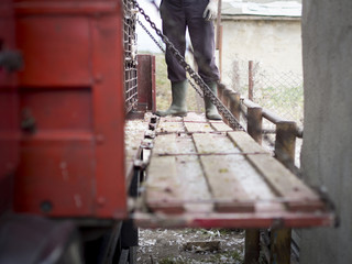 Fototapeta na wymiar Man wearing waterproof boots on a platform in a farm.