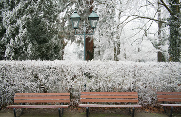Frozen bench
