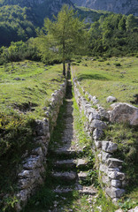 Fototapeta premium ancient trenches of first World War built by the soldiers with s