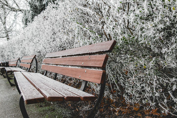 Frozen bench