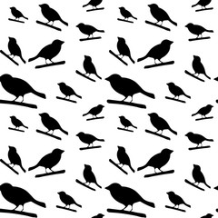 Obraz premium Pattern with black silhouettes of birds.