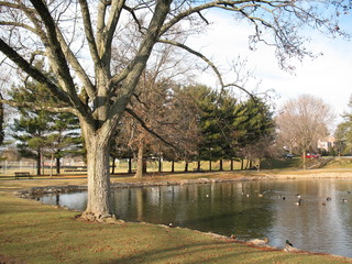 park lake