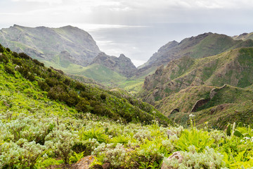 Landschaft im Tenogebirge, Teneriffa, Spanien