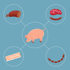 Pig and meat products