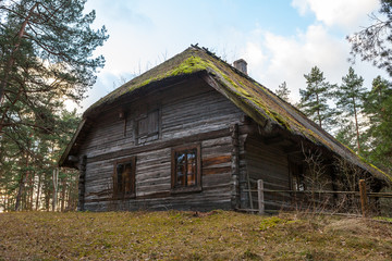 Obraz premium View of the rustic farm dwelling. Wooden architecture of North and Baltics