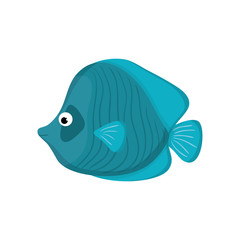 Sea fish animal icon vector illustration graphic design
