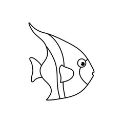 Sea fish animal icon vector illustration graphic design