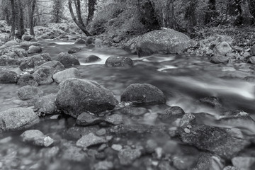 Garganta San Gregorio. Landscape near Aldeanueva de la Vera, Caceres. Extremadura. Spain.