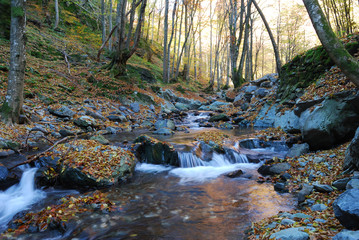 Berkovska river in autumn
