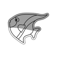 Sea fish animal icon vector illustration graphic design