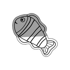 Sea fish animal icon vector illustration graphic design