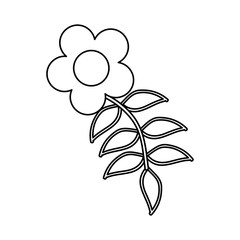 cute flower isolated icon vector illustration design