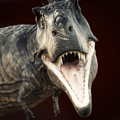 A Tyrannosaurus Rex attack on a dark background . 3d rendering
