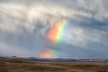 Rainbow over prairie in north-central Montana