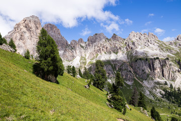 Fototapeta na wymiar View of the Roda di Vaèl (Rosengarten group) in the Italian Dolomites