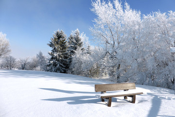Schneelandschaft Altenberg Erzgebirge