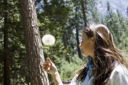 Mid-adult woman holding a dandelion seed.