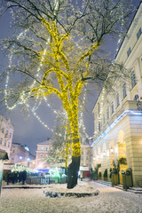 Snowy Christmas Lviv