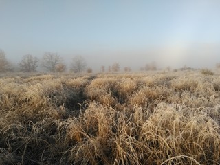 Fototapeta premium Paisaje helado