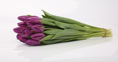 Bouquet of purple tulips