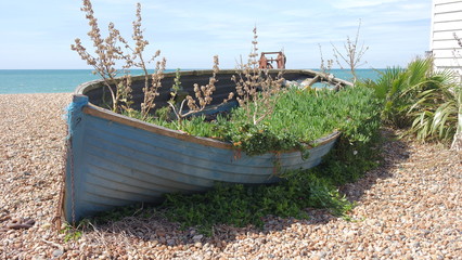 Boat used as a garden planter.
