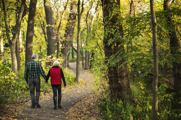 Rear view of senior couple holding hands while walking on road