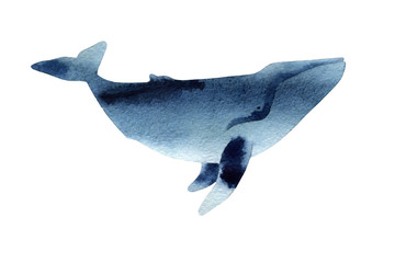 Watercolor sketch of humpback whale. Illustration isolated on white background.